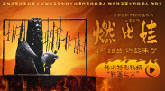 国产一级毛片午夜福
