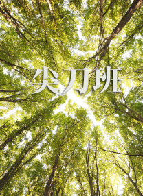 日韩av一二三四区