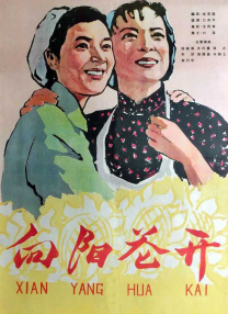 91视频地址